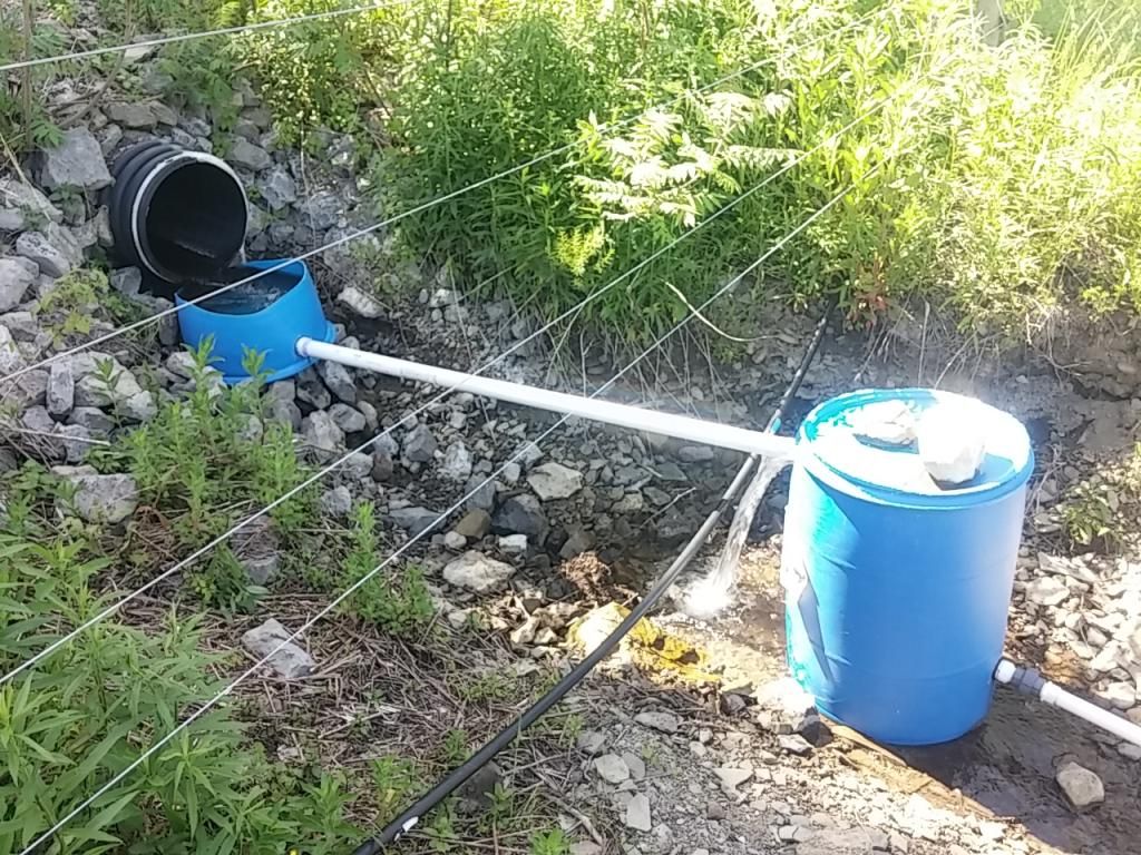 My ram pump/gravity water system (pic heavy) to the